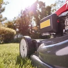 Expert garden landscaping for beautiful yards across Naples, FL - TGC