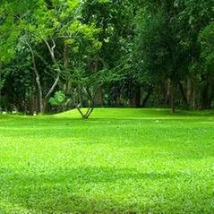 Expert lawn mowing service for homes in Naples, FL by TGC