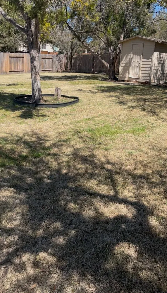 Top-rated lawn care service for residential properties across Austin, TX - TGD Lawncare