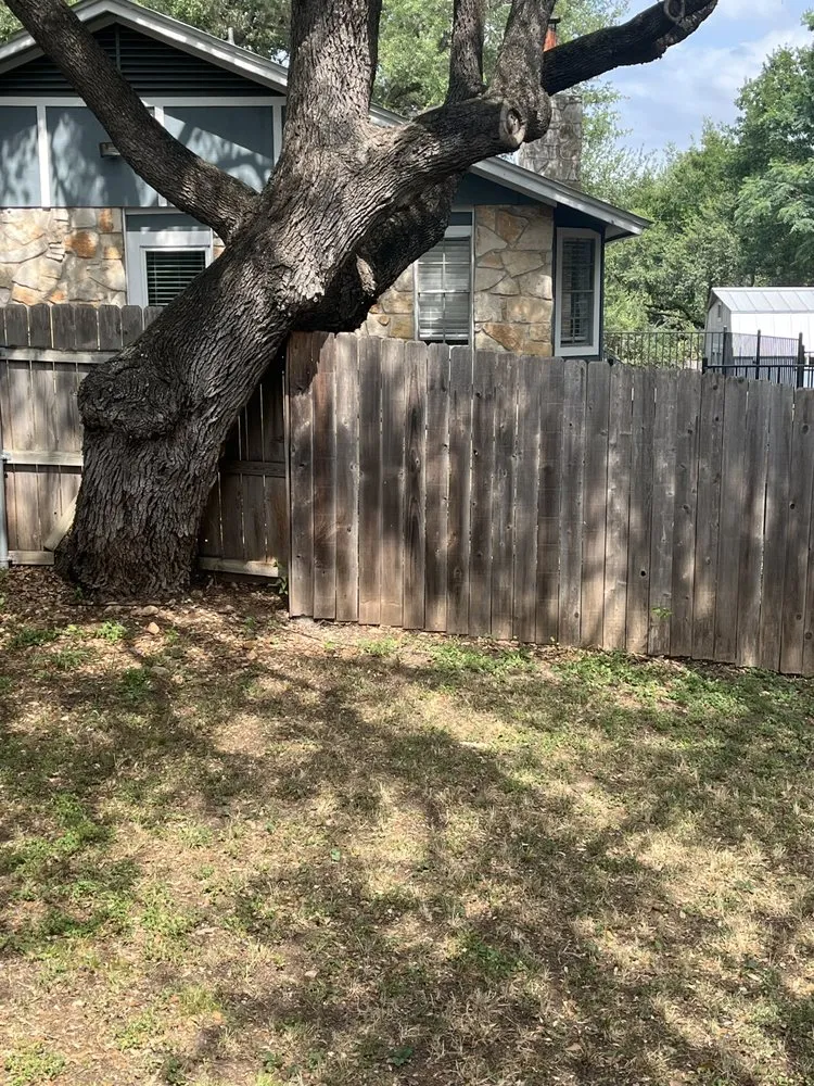 Custom garden landscaping in Austin, TX - TGD Lawncare