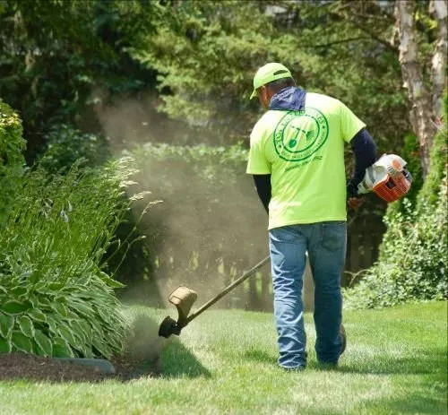 Trusted yard cleanup service in Libertyville, IL by TGF Enterprises