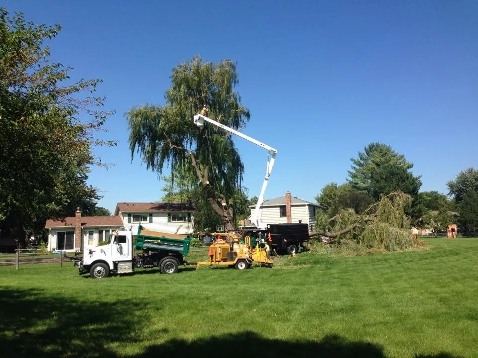 Affordable landscape installation experts serving Libertyville, IL - TGF Enterprises