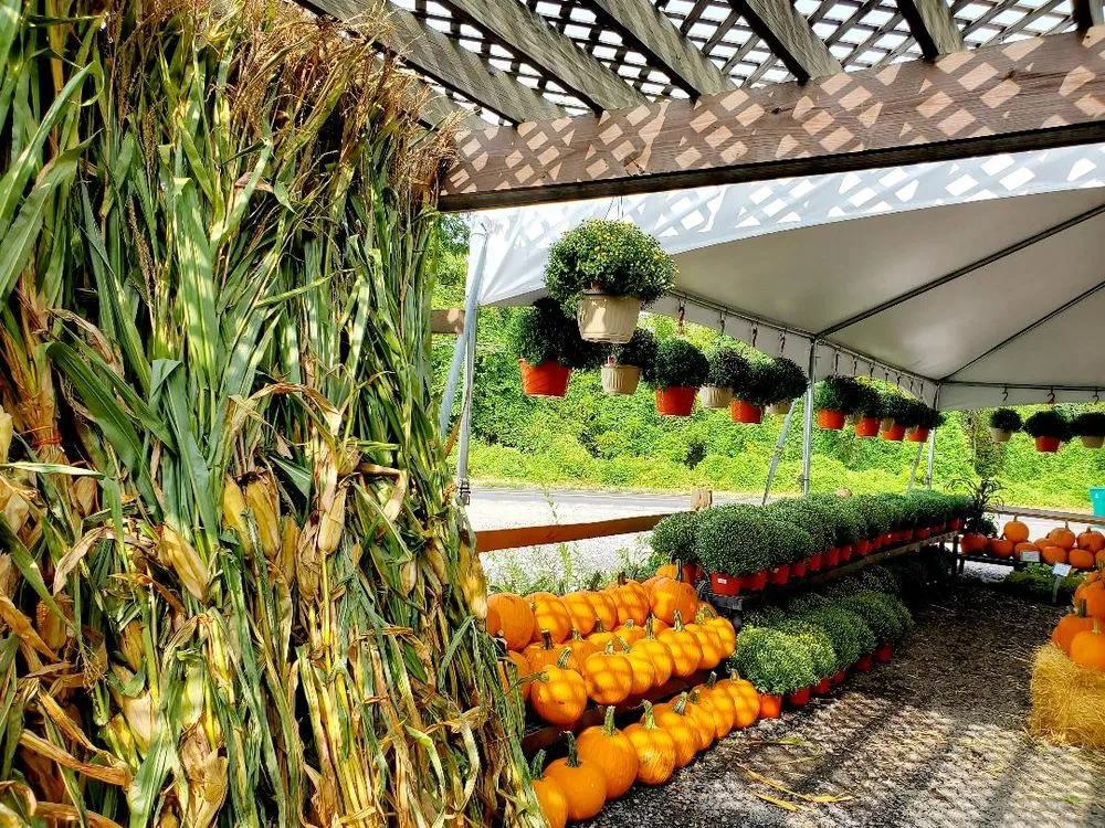 Custom landscaping services in Levittown, PA by TGG Landscape Supply