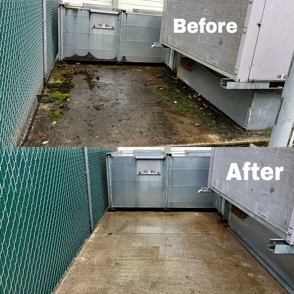 Custom residential landscaping experts serving Lacey, WA - TGG Services