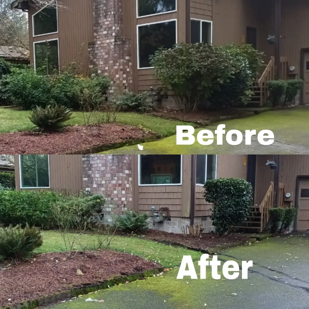 Top-rated yard cleanup service in Lacey, WA - TGG Services