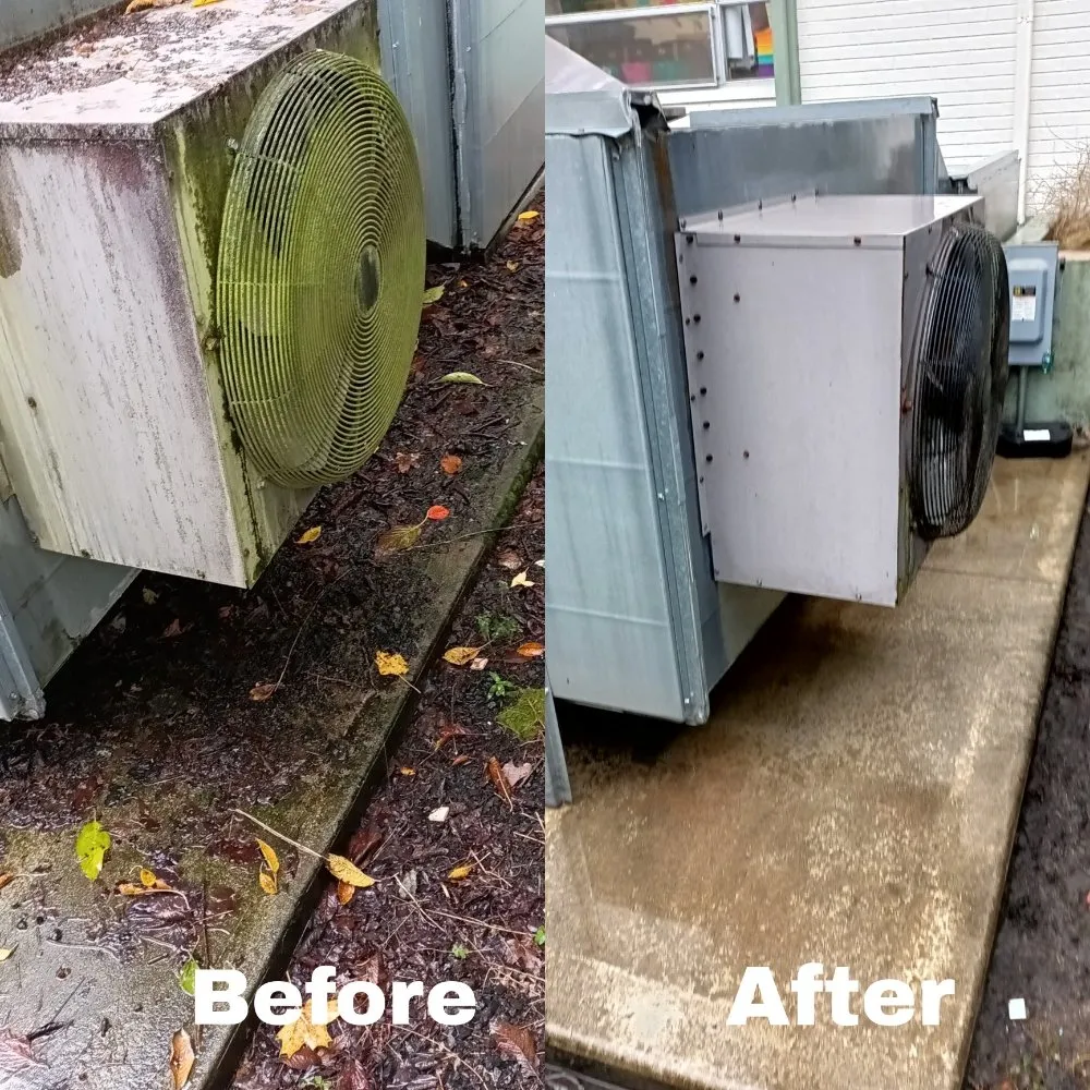 Professional lawn mowing service in Lacey, WA by TGG Services