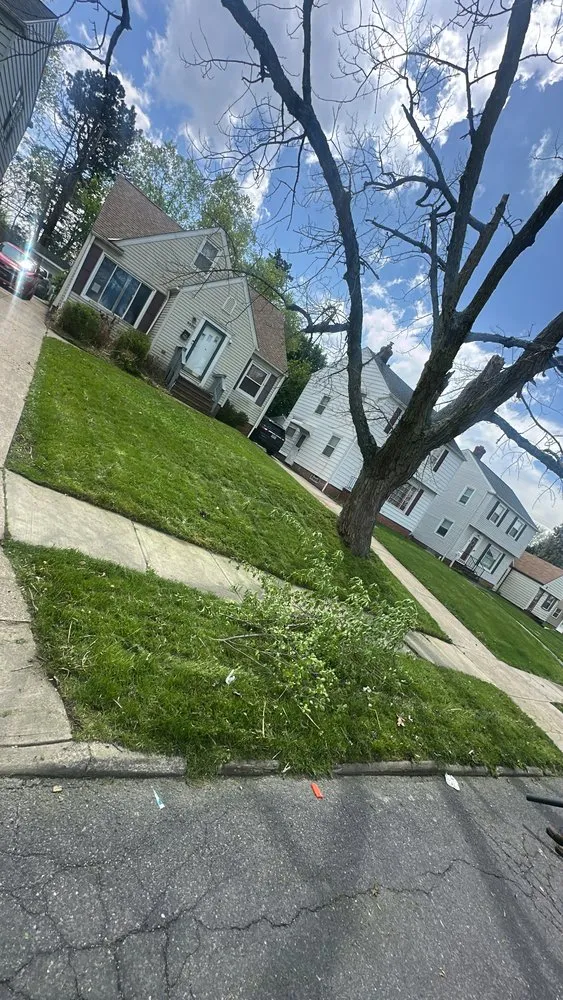 Top-rated landscape installation in Akron, OH by TGIA Construction