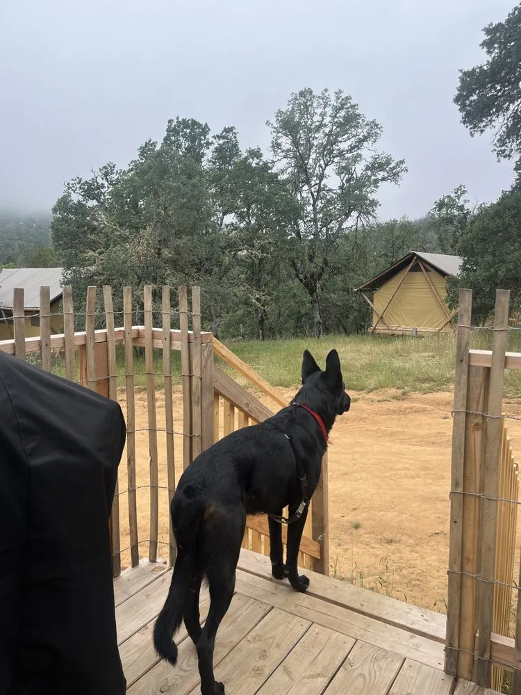 Affordable yard maintenance in Kelseyville, CA - Tgls Property Services