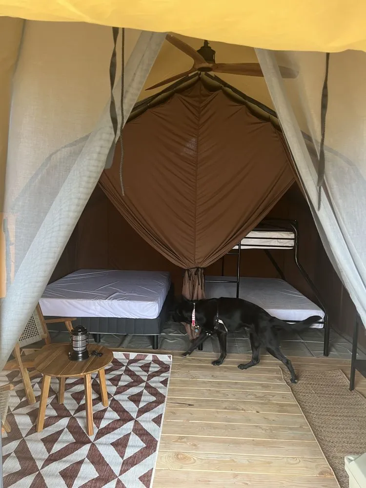 Custom landscaping services in Kelseyville, CA by Tgls Property Services