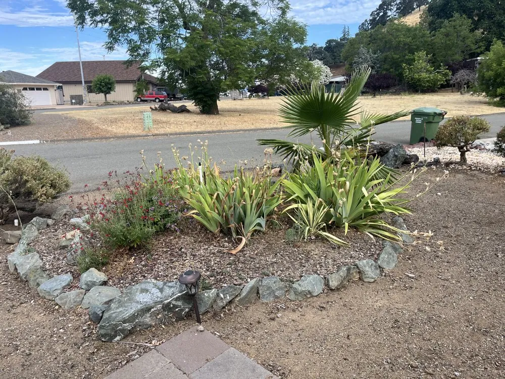 Professional yard cleanup service for outdoor upgrades in Kelseyville, CA by Tgls Property Services