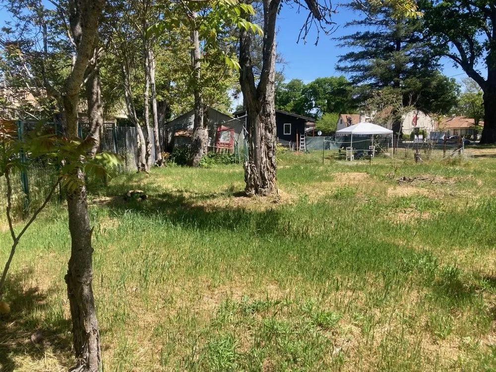 Expert lawn care service in Kelseyville, CA by Tgls Property Services