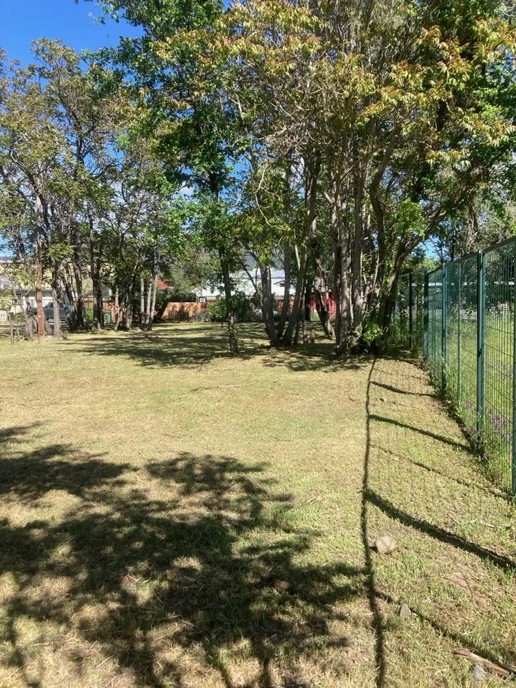 Top-rated lawn care service in Kelseyville, CA - Tgls Property Services