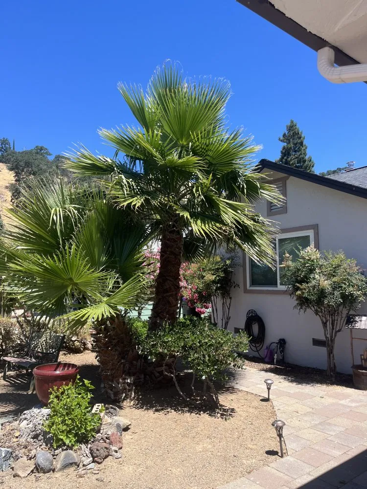 Trusted landscape installation for outdoor upgrades in Kelseyville, CA by Tgls Property Services