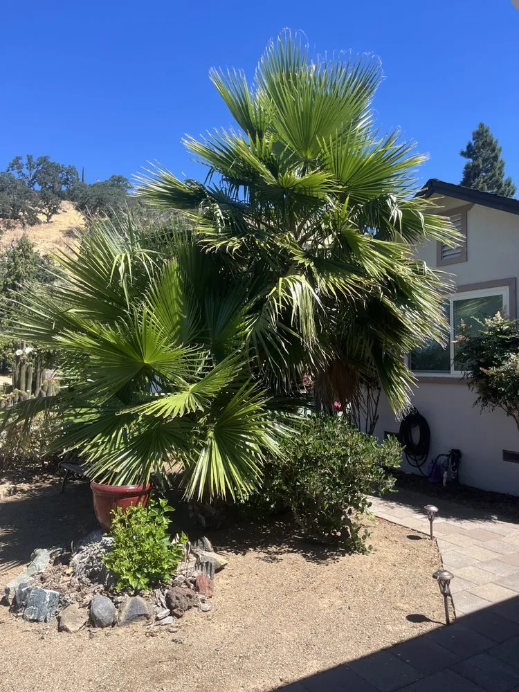 Custom garden landscaping with custom design across Kelseyville, CA - Tgls Property Services