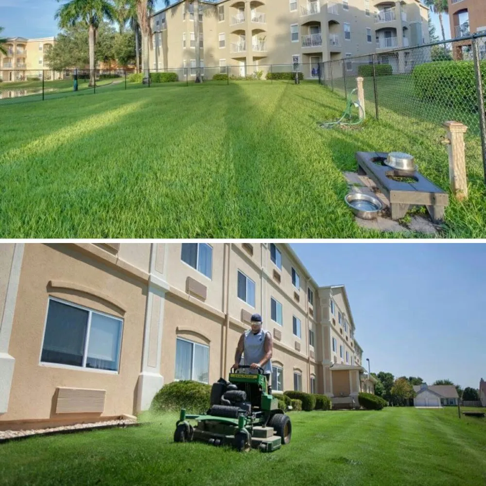 Custom landscaping services experts serving Franklin, LA - TGM lawn & maintenance service