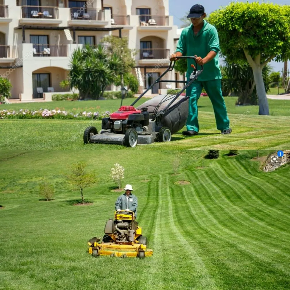 Trusted landscaping services for year-round maintenance across Franklin, LA - TGM lawn & maintenance service