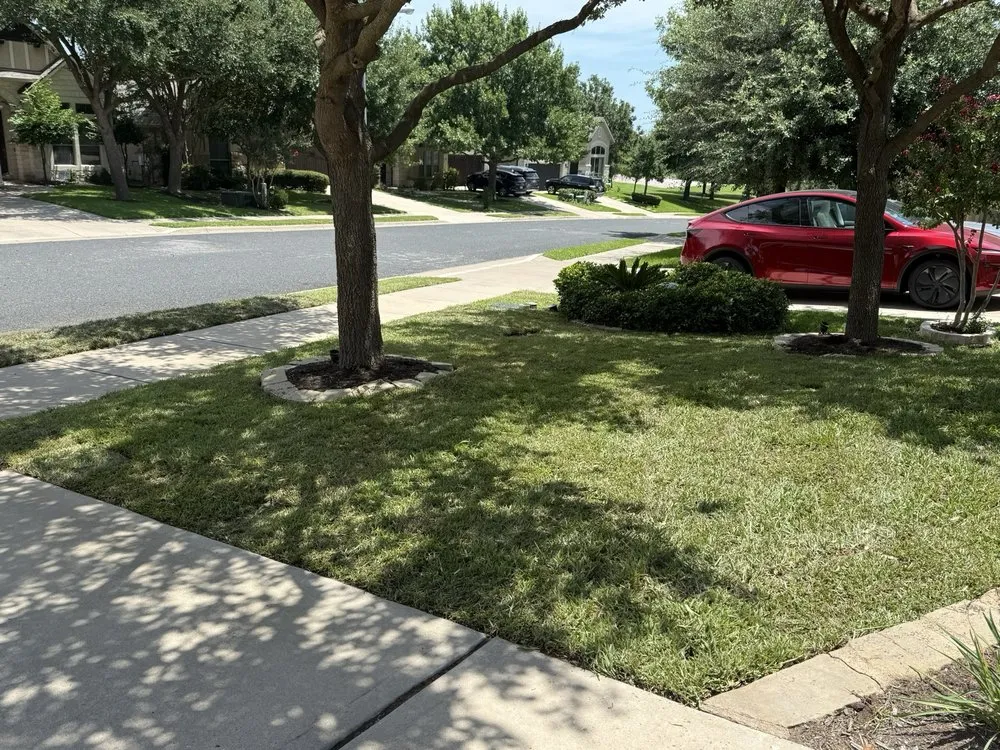 Custom lawn care service in Austin, TX - TGO Installation