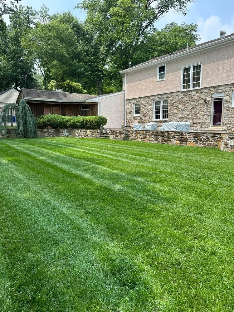 Reliable landscaping services in Rockledge, PA - TGP Landscaping