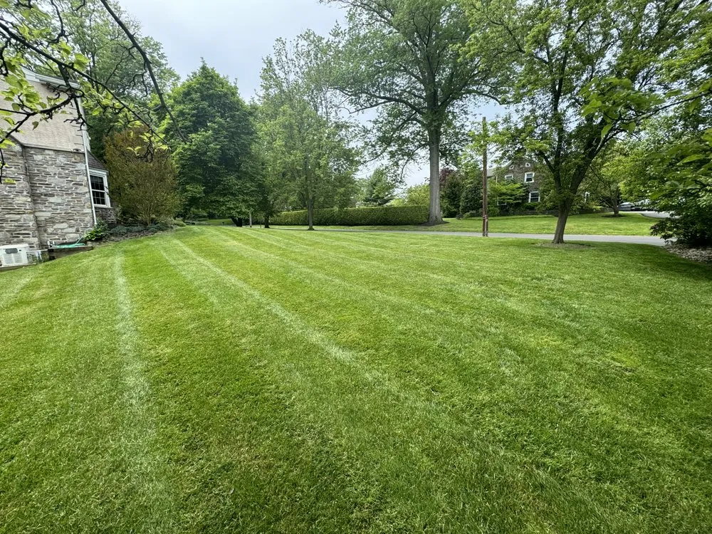 Professional garden landscaping for year-round maintenance across Rockledge, PA - TGP Landscaping