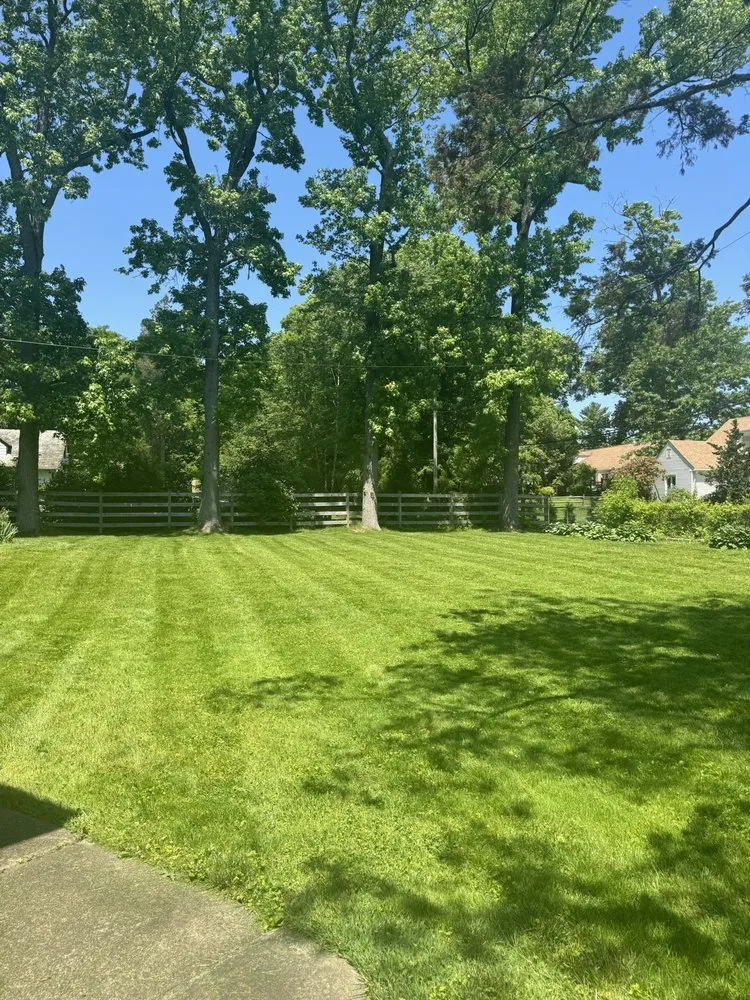 Affordable residential landscaping in Rockledge, PA by TGP Landscaping