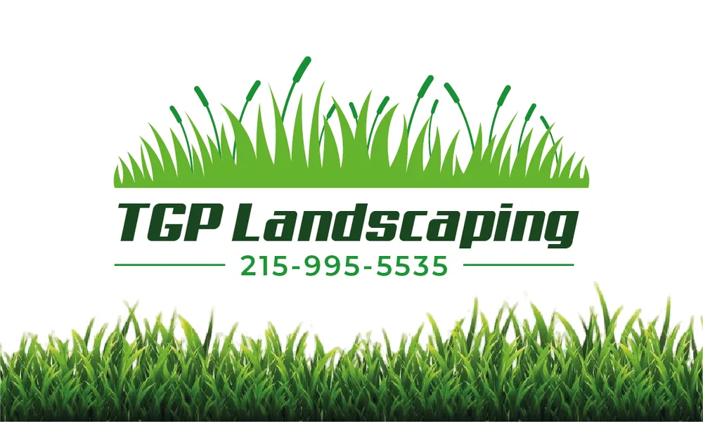 Expert lawn care service for outdoor upgrades in Rockledge, PA by TGP Landscaping