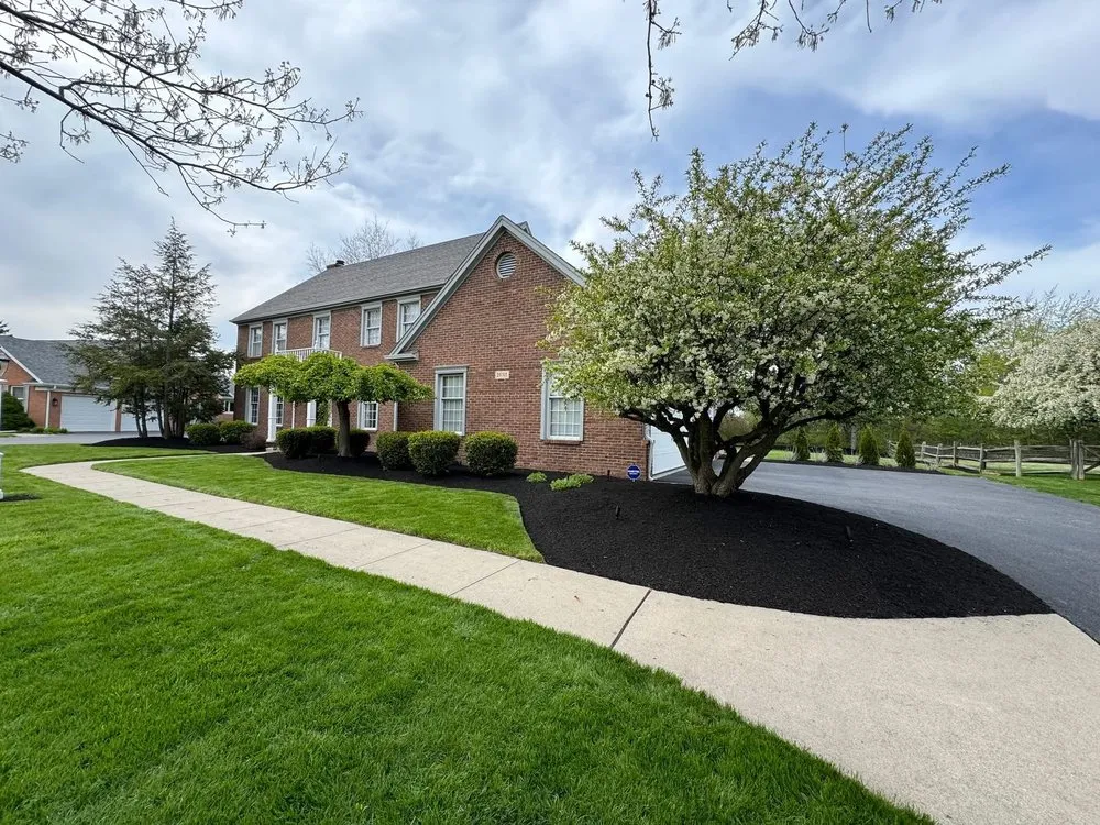 Local landscaping services with custom design in Rockledge, PA by TGP Landscaping