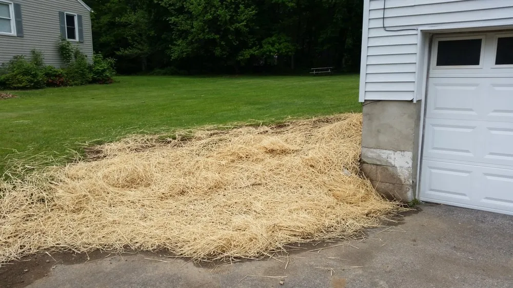 Trusted landscape design in Wappingers Falls, NY by TGP Landscaping