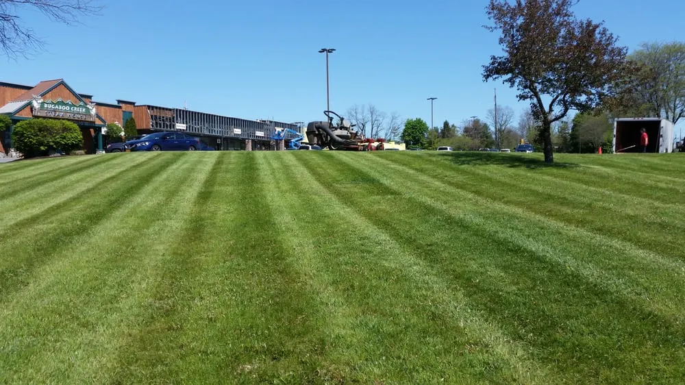 Custom lawn care service experts serving Wappingers Falls, NY - TGP Landscaping