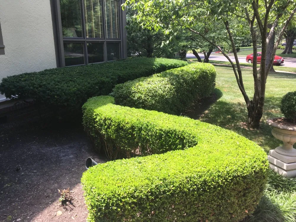 Top-rated landscape design with custom design in Kansas City, MO by TGT Landscaping & Construction