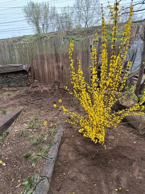 Affordable outdoor landscaping in Stamford, CT by T.G.T. Stamford Home Services