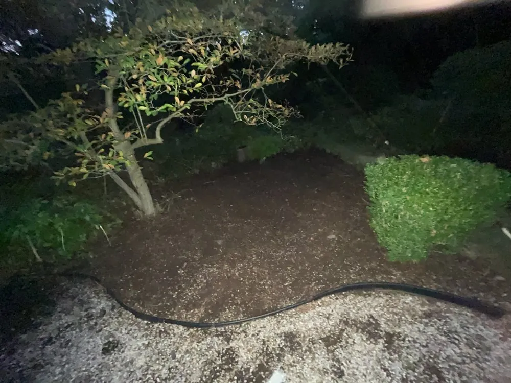 Top-rated lawn care service in Stamford, CT - T.G.T. Stamford Home Services