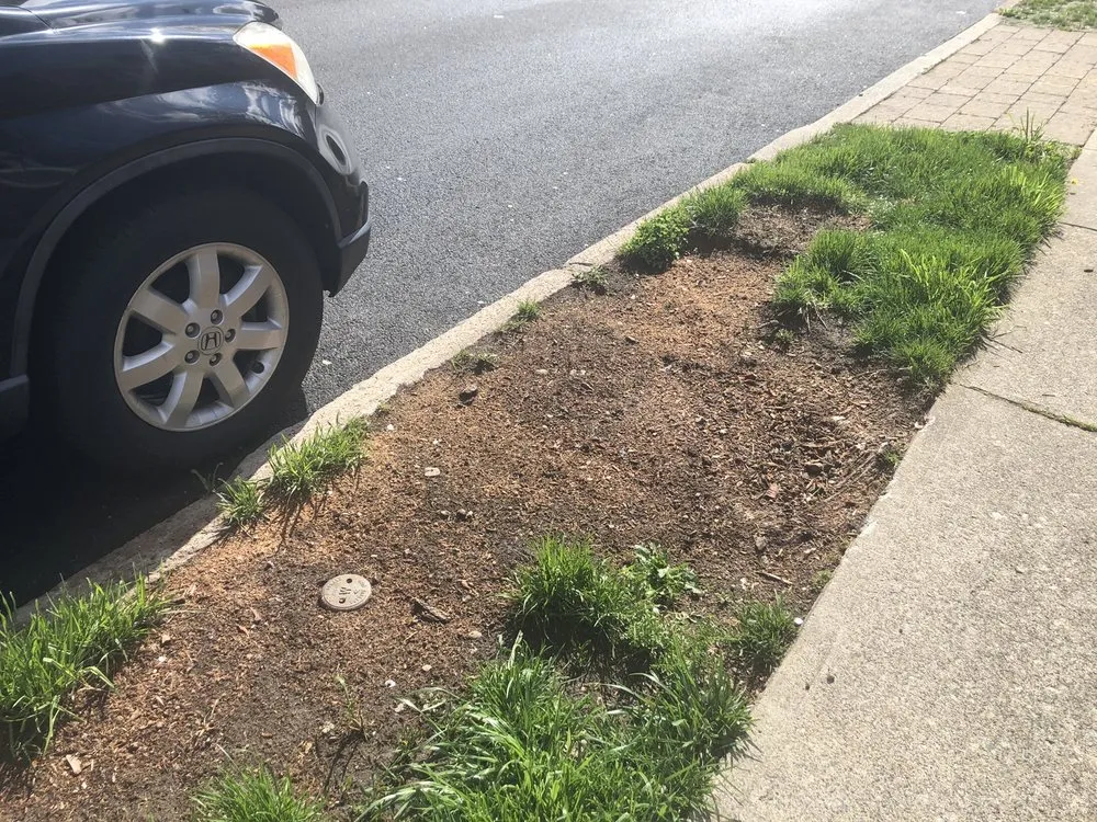 Affordable residential landscaping for homes across Ramsey, NJ - TGW Landscaping & Contracting