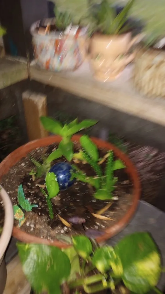 Trusted lawn mowing service in Corsicana, TX by TH Collins Services