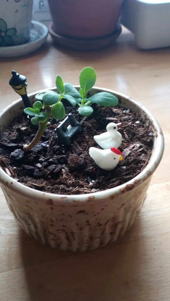 Top-rated outdoor landscaping in Corsicana, TX by TH Collins Services