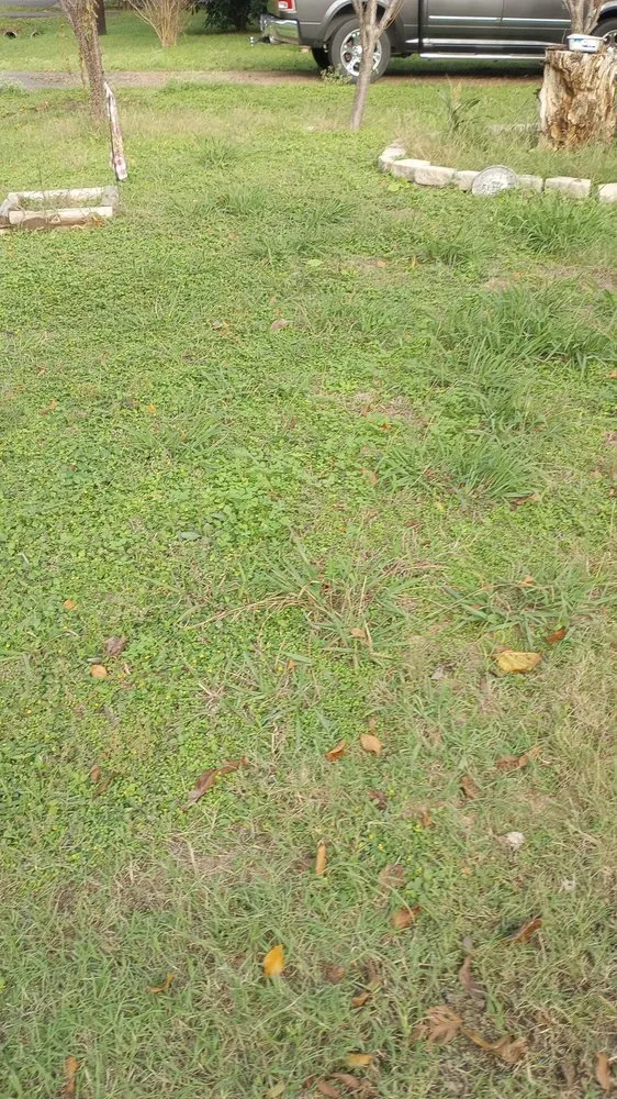 Trusted yard maintenance in Corsicana, TX - TH Collins Services