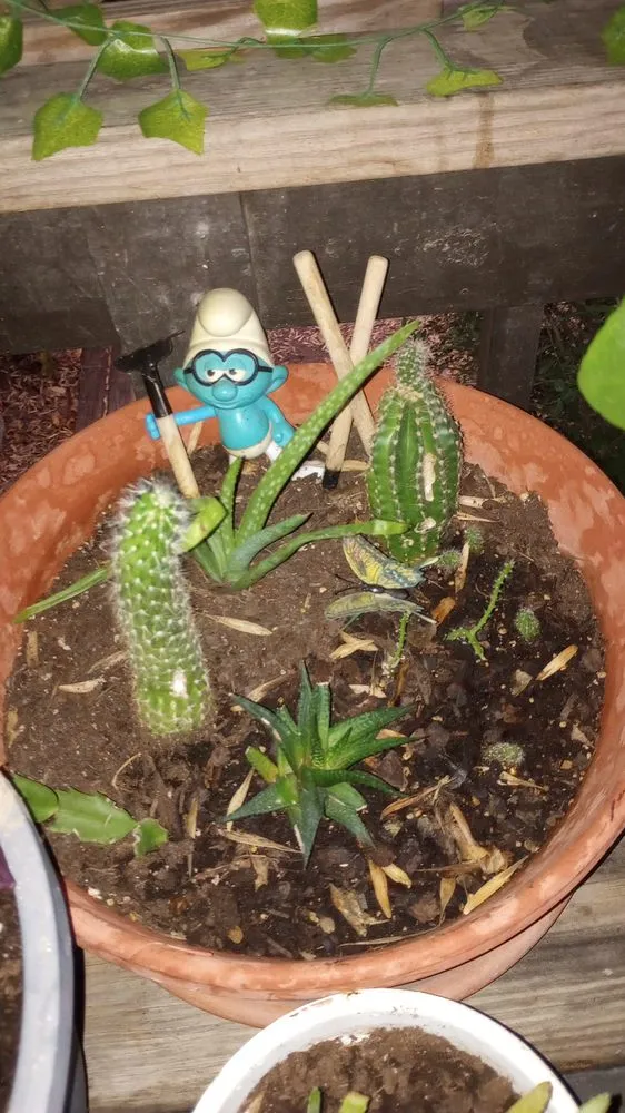 Local yard maintenance for residential properties across Corsicana, TX - TH Collins Services