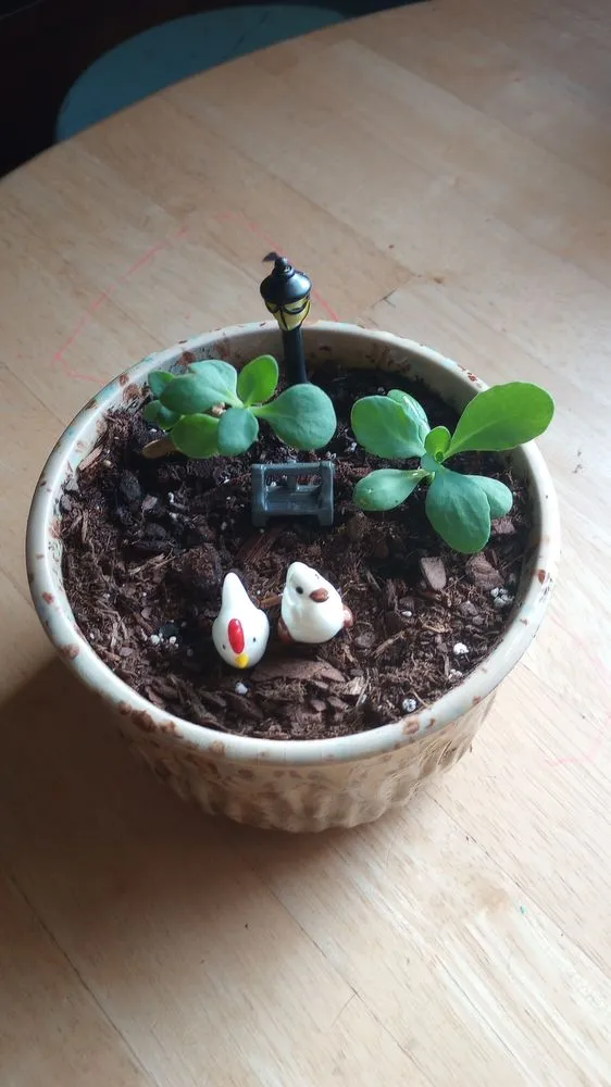 Custom outdoor landscaping near you in Corsicana, TX by TH Collins Services