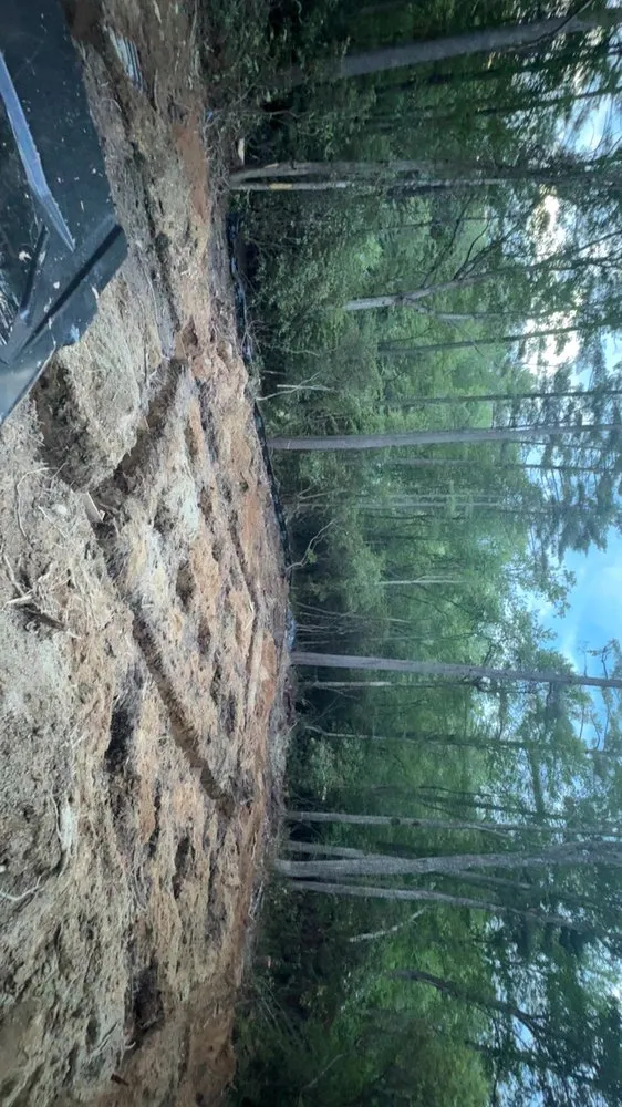 Top-rated outdoor landscaping for residential properties in Fairview, NC by TH Excavation