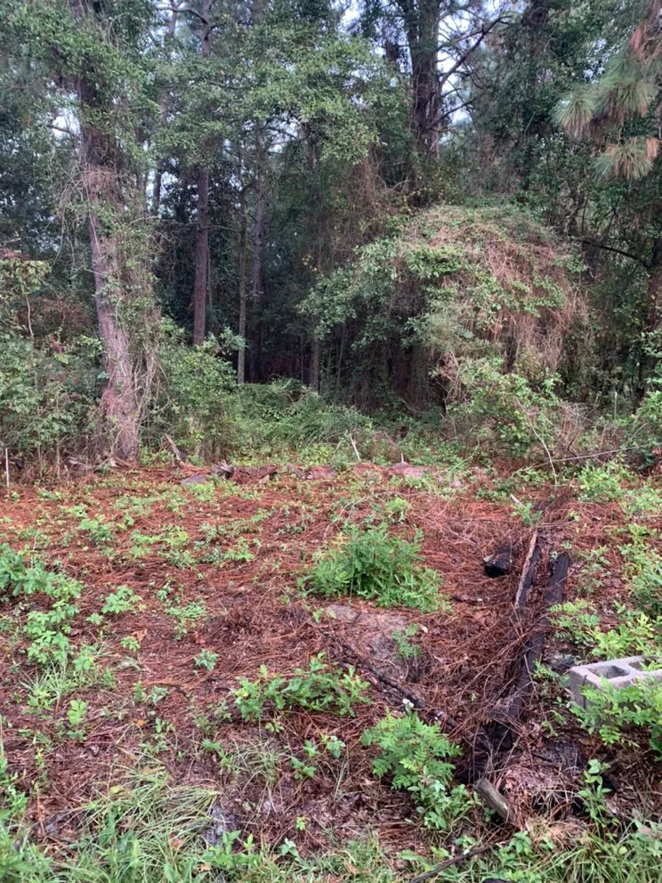 Professional yard cleanup service for year-round maintenance across Gloverville, SC - T&H Home Improvements