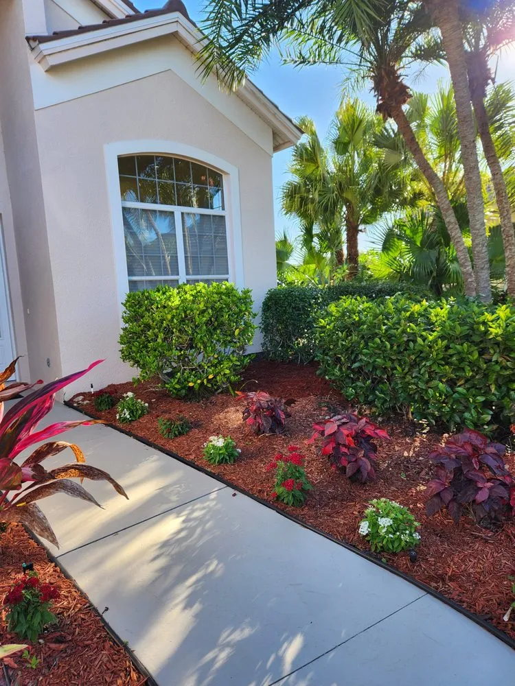 Professional yard maintenance in Port Charlotte, FL - T&H Landscape