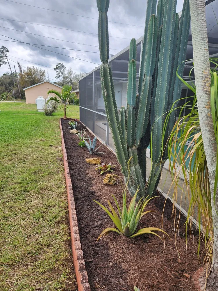 Expert yard maintenance in Port Charlotte, FL - T&H Landscape