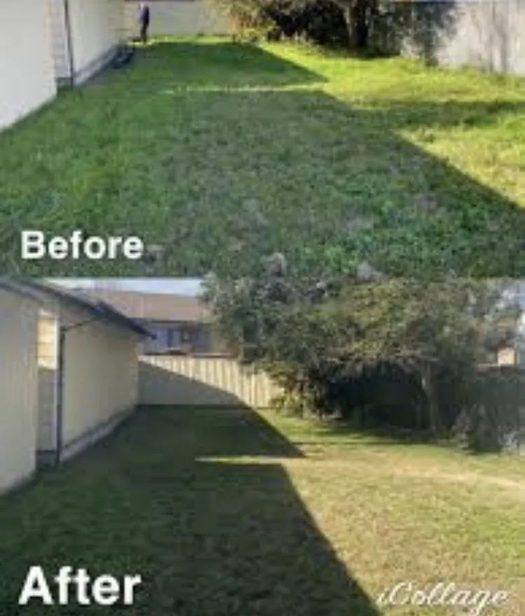 Professional landscaping services experts serving San Bernardino, CA - T&h landscaping