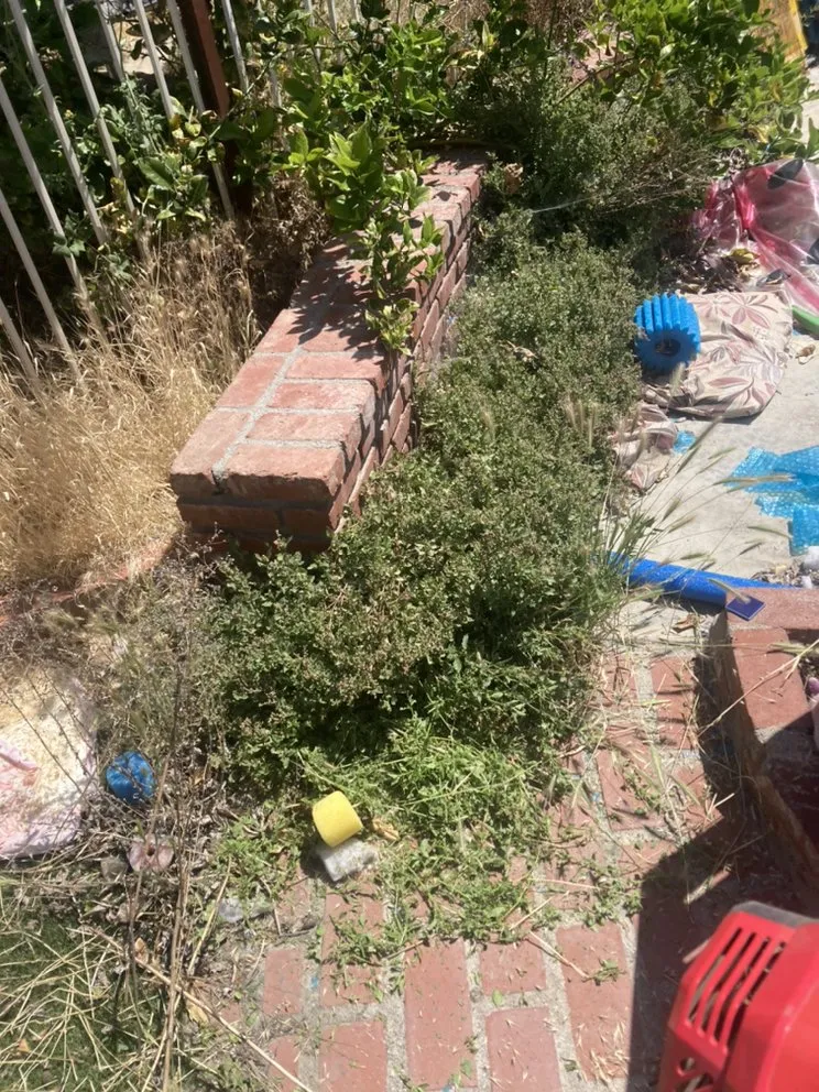 Local landscaping services with custom design across San Bernardino, CA - T&h landscaping