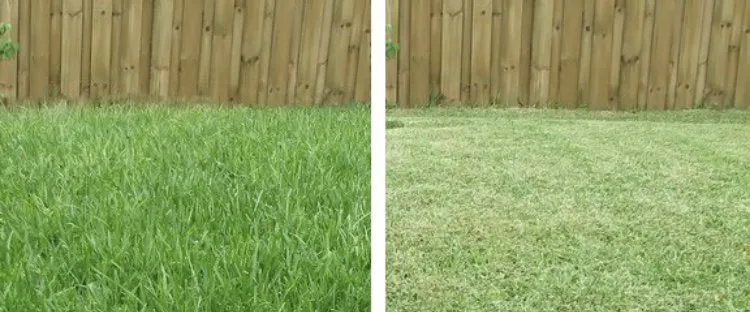 Professional landscaping services with custom design across San Bernardino, CA - T&h landscaping