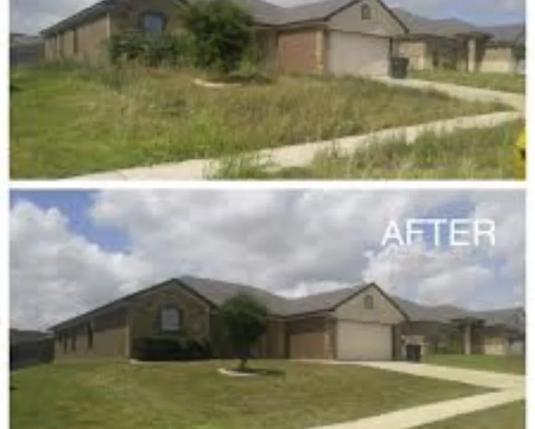 Custom yard maintenance with custom design across San Bernardino, CA - T&h landscaping