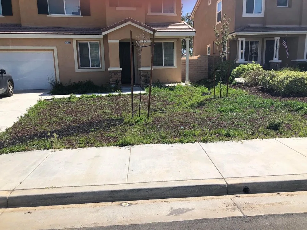 Top-rated lawn care service for residential properties in San Bernardino, CA by T&h landscaping