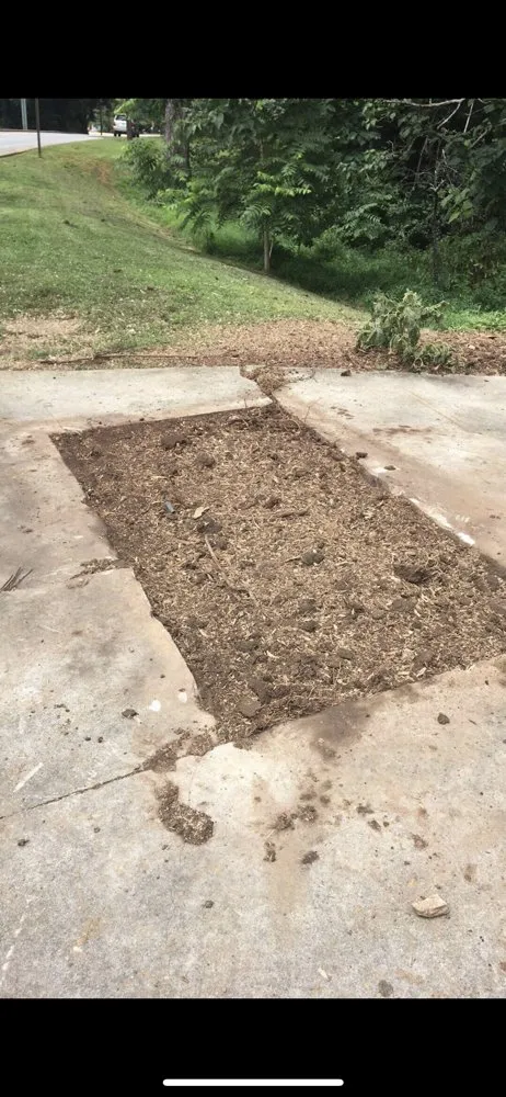 Reliable lawn care service in Union Grove, NC by Thacker's Tree Services