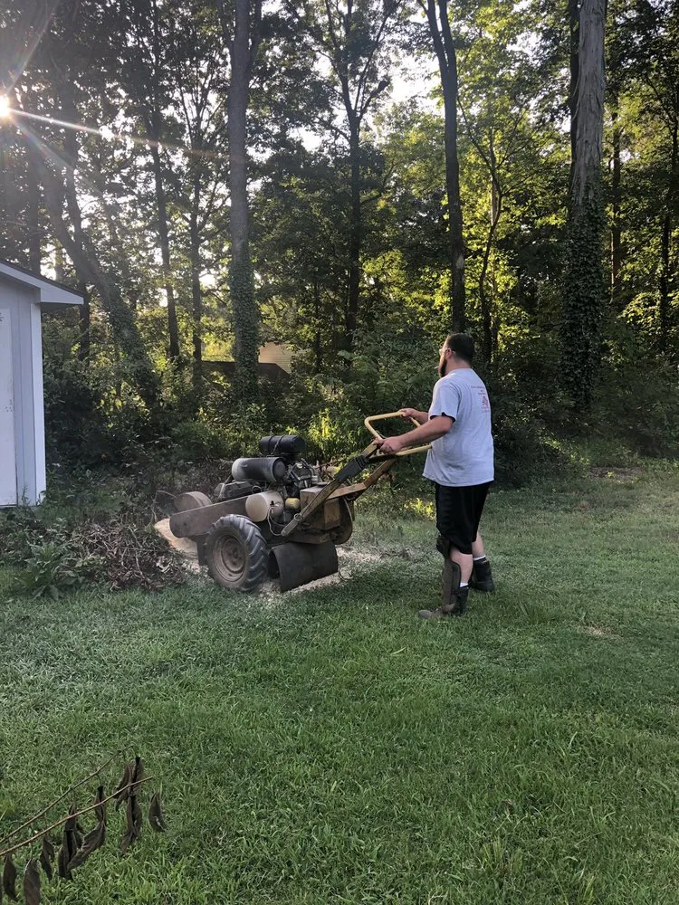 Local landscaping services for residential properties in Union Grove, NC by Thacker's Tree Services
