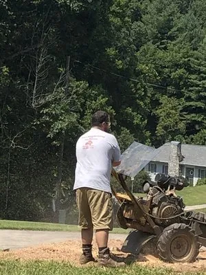Thacker's Tree Services