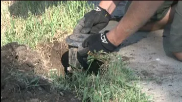 Expert yard maintenance for beautiful yards across Minturn, CO - Thank You Masked Man Services